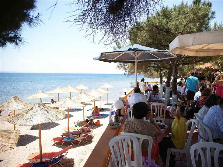  Metamorfosi, Sitonija 